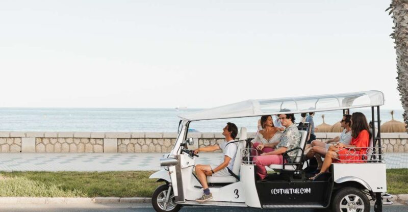 Malaga: Private City Tour by Eco Tuk Tuk - Key Points