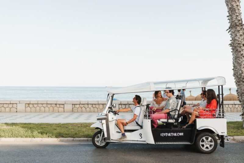 Malaga: Private City Tour by Eco Tuk Tuk - Final Thoughts