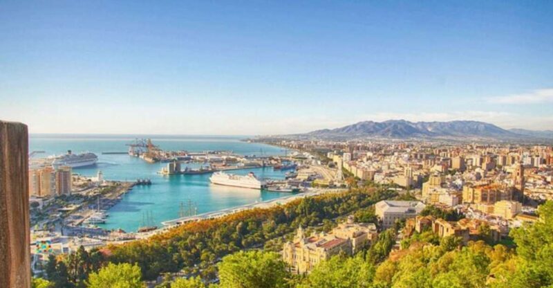 Malaga: Private custom Walking tour with a local guide - Who Should Book This Tour?
