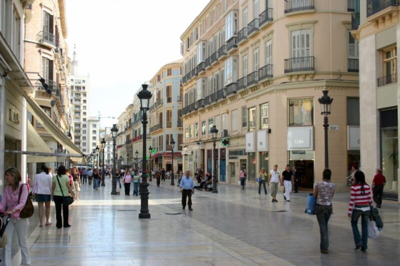 Malaga: Private Plaza de la Merced, City Center, & Port Tour - Key Points