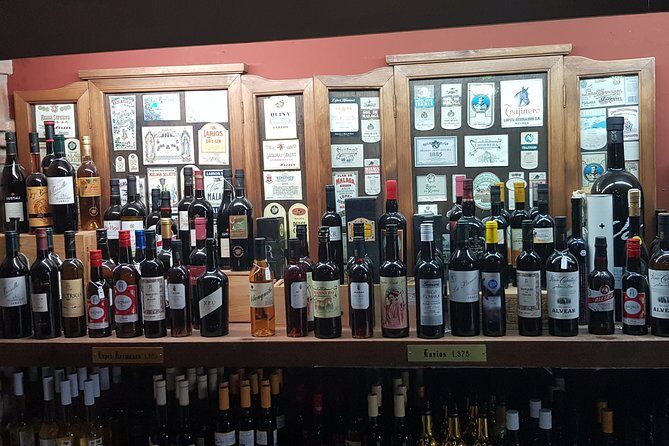 Malaga private Shore Excursion: Malaga Highlights & Mijas White Washed Village - Exploring Malaga and Mijas in Depth