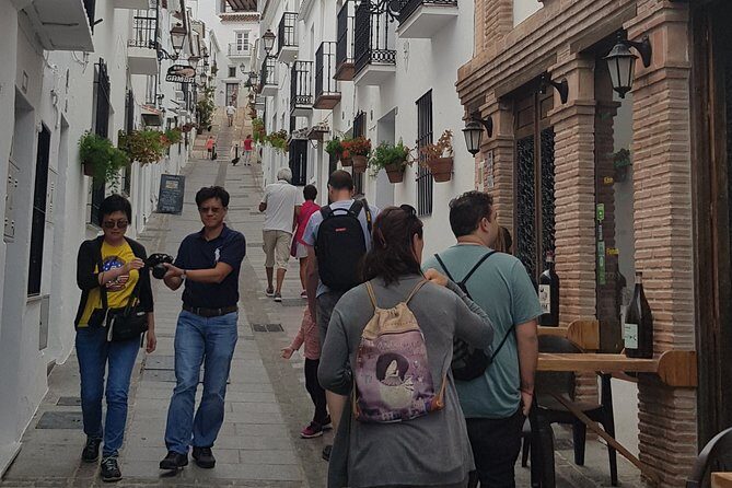 Malaga private Shore Excursion: Malaga Highlights & Mijas White Washed Village - Additional Stops & Notes