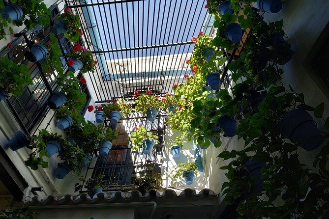 MALAGA PRIVATE TOUR - by OhMyGoodGuide - Final Thoughts: Who Is This Tour Perfect For?