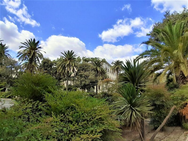 Malaga: Private walking tour - Authenticity and Review Insights