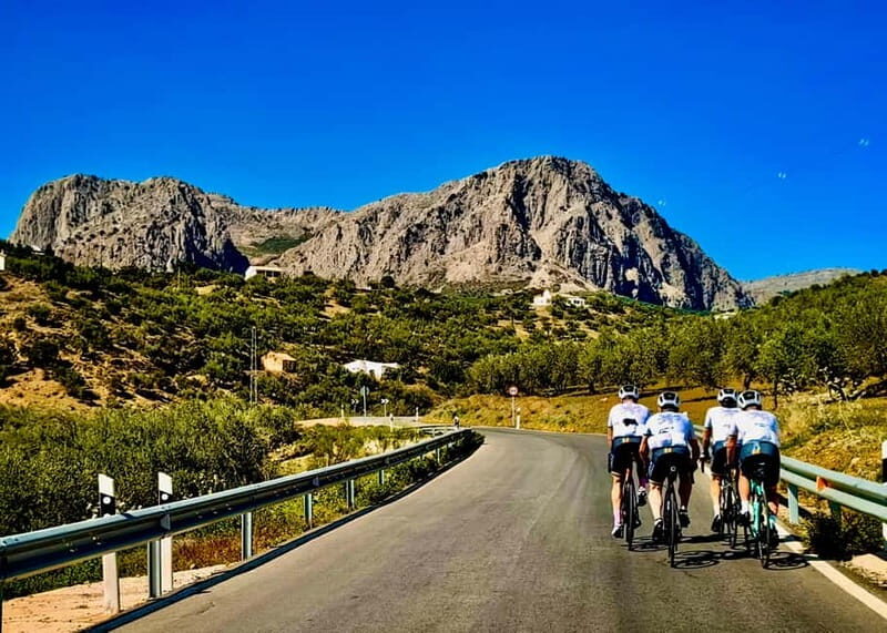 Málaga: Road Bike Tour with Guide and Bike Rental - Key Points
