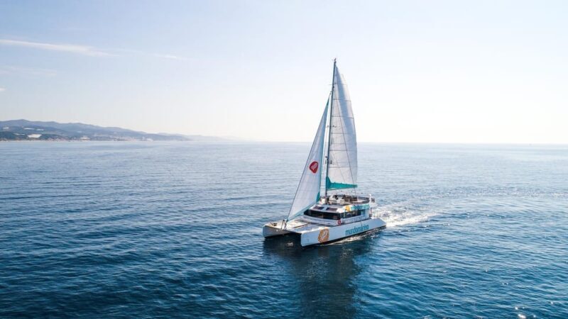 Malaga: Sailing Catamaran with Swimming and Paella Lunch - What to Expect on the Malaga Catamaran Trip