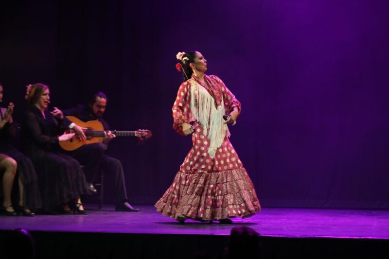 Malaga: Teatro Flamenco Malaga Live Flamenco Show - The Experience: A Deep Dive into Flamenco in Malaga