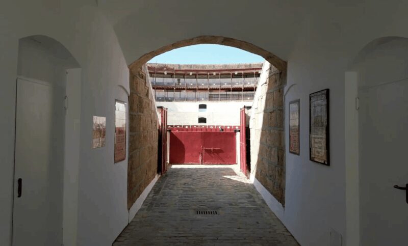 Malaga: Tour of Malagueta Bullring & Immersive Exhibition - What to Expect on the Tour