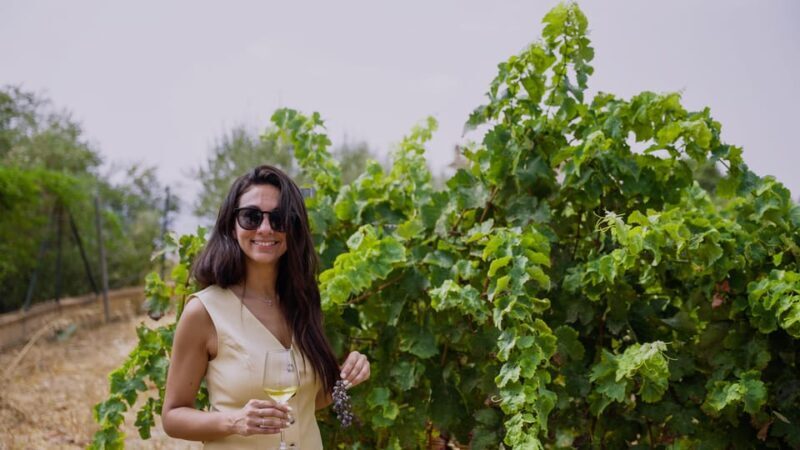 Malaga: Vineyard and Cellar Visit with 6 Top Wines and tapas - Malaga: Vineyard and Cellar Visit with 6 Top Wines and Tapas