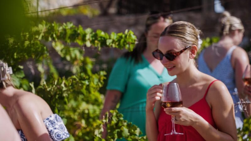 Malaga: Vineyard and Cellar Visit with 6 Top Wines and tapas - Why This Tour Offers Great Value