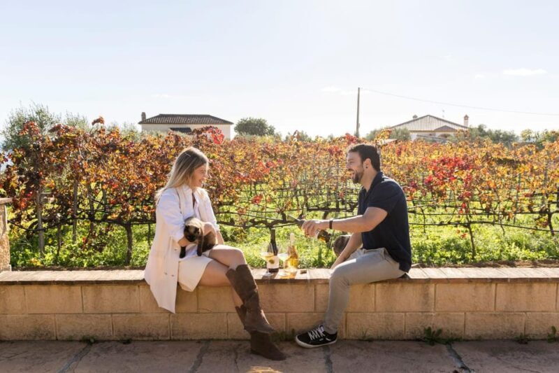 Malaga: Vineyard and Cellar Visit with 6 Top Wines and tapas - Who Should Book This?