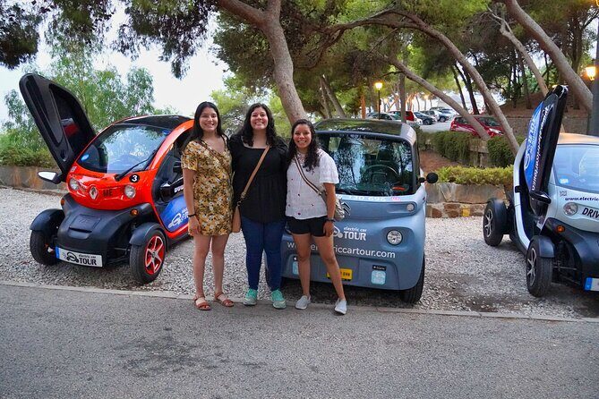 Málaga VIP Tour by Electric Car Private 5-Hour Experience - The Sum Up