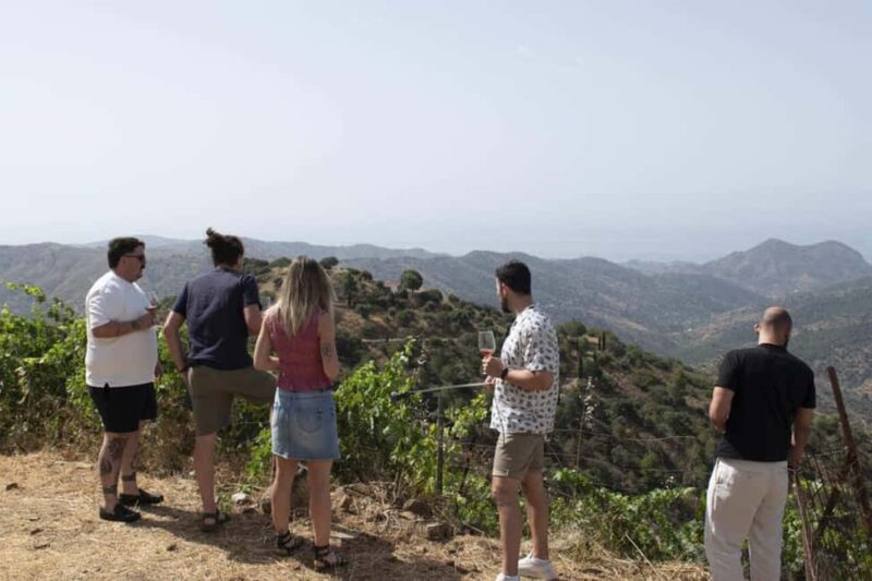 Málaga:Exclusive Heroic Vineyard Visit & Natural WineTasting - An authentic journey into Málaga’s mountain winemaking
