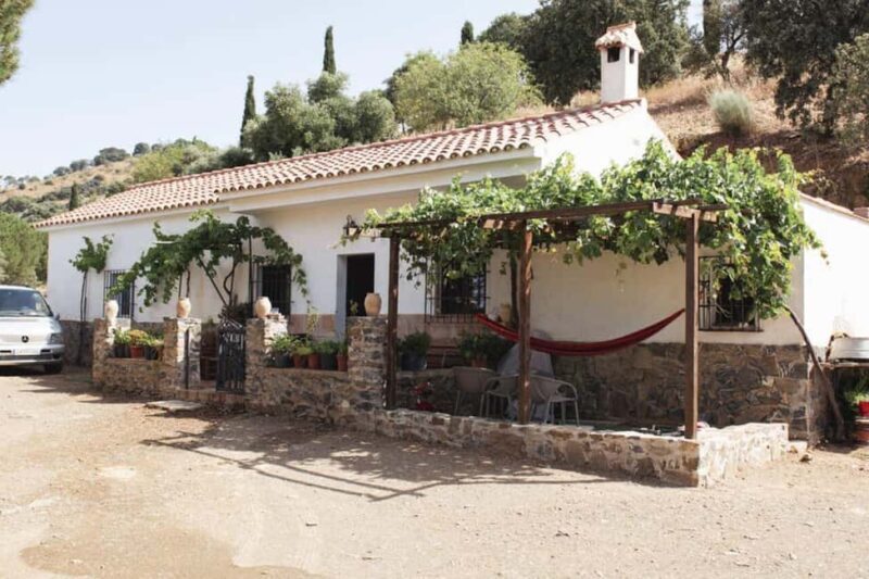 Málaga:Exclusive Heroic Vineyard Visit & Natural WineTasting - Authentic and memorable wine experience