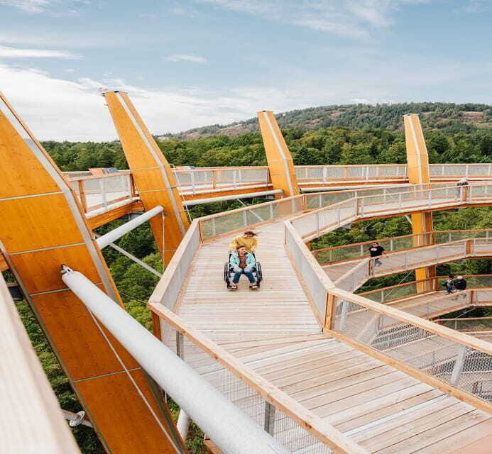 Malahat SkyWalk Ticket - Who Will Love This?