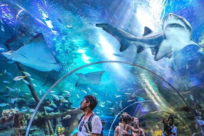 Malaysia: Aquaria KLCC Admission E-Ticket - What to Expect at Aquaria KLCC
