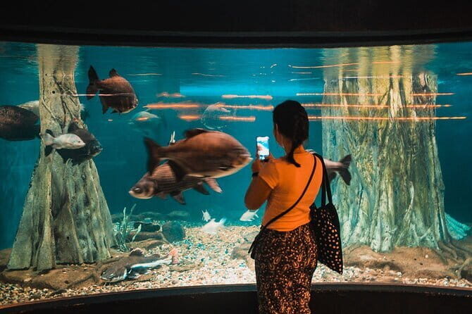 Malaysia: Aquaria KLCC Admission E-Ticket - Authentic Insights from Visitors