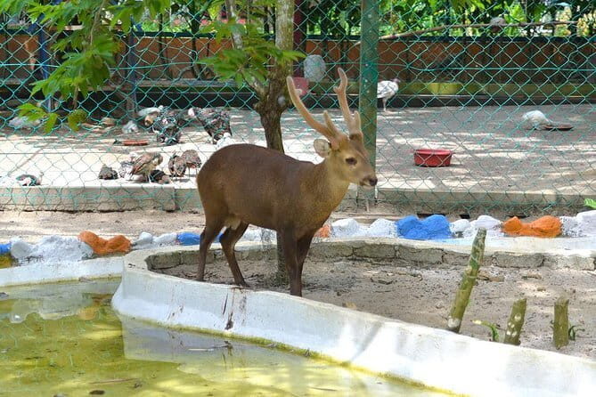 Malaysia: Langkawi Wildlife Park Entry Ticket - The Sum Up