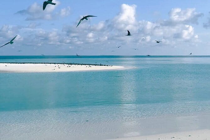 Maldives Dive Cruise Central Atolls Adventure - Who Should Consider This Tour?