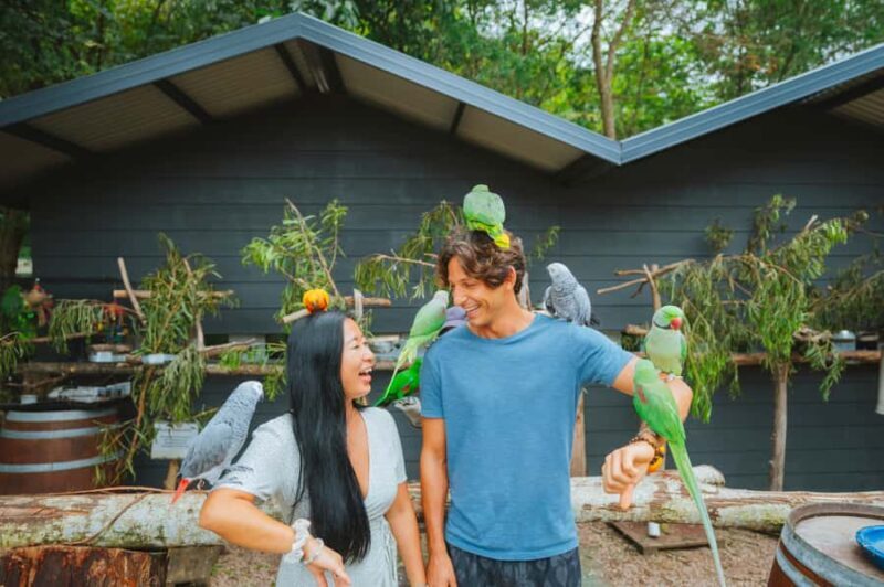 Maleny: Maleny Botanic Gardens & Bird World Entry Ticket - Key Points