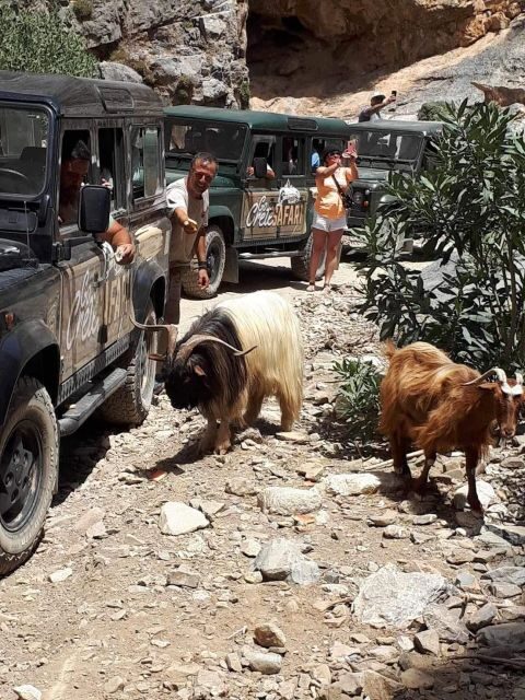 MALIA: East Crete Famous Places (Family and Child Friendly) - Who This Tour Is Best For