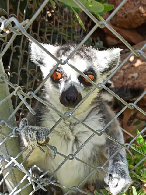 Malia: East Crete The Magical Places - What to Expect from the Tour