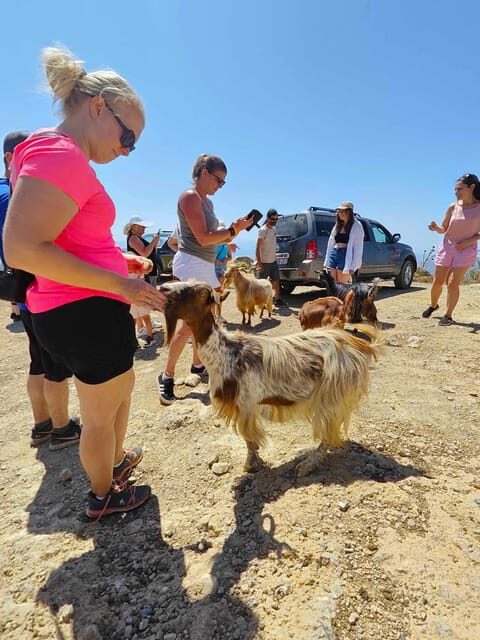 Malia: Lasithi Plateau Zeus Cave Guided Tour - Key Points