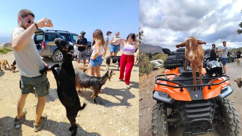 Malia: Off-Road Quad Safari Tour with Lunch and Transfers - Key Points
