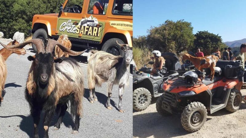 Malia: Off-Road Quad Safari Tour with Lunch and Transfers - Who Will Love This Tour?