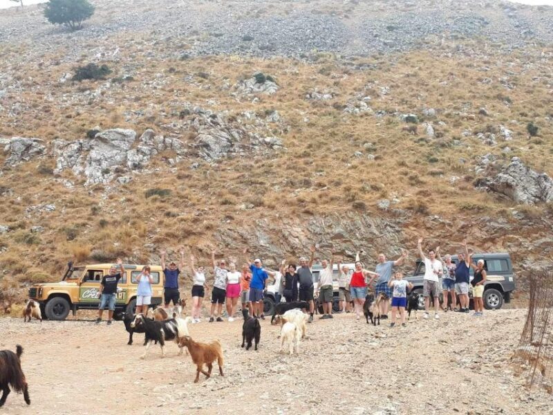 Malia: The uthentic Crete - Cheese-Making Experience