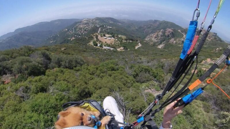Malibu Hills to Beach: Tandem Paragliding Flight Adventure - FAQs