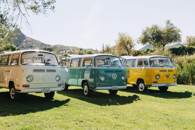 Malibu: Vintage VW Bus and Vineyard Tour - A Detailed Look at the Malibu Vintage VW Bus and Vineyard Tour