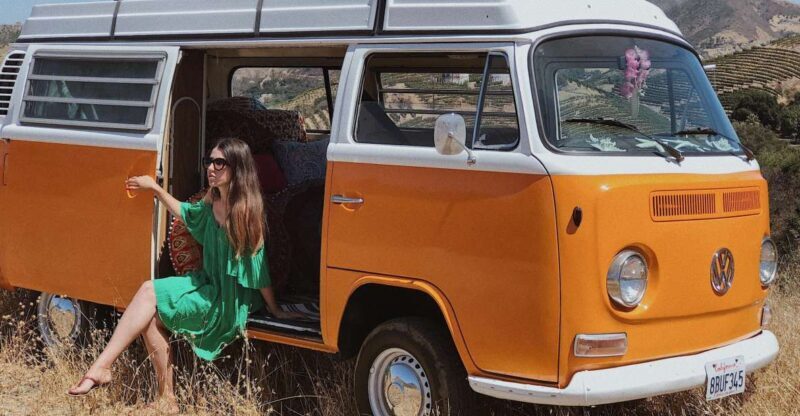 Malibu: Vintage VW Sightseeing Tour and Wine Tasting - Who Should Consider This Tour?