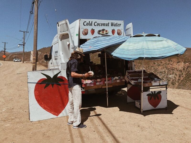 Malibu: Vintage VW Sightseeing Tour and Wine Tasting - Frequently Asked Questions