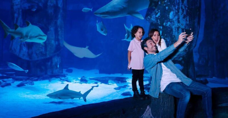 Mall of America: Sea Life Minnesota Aquarium Entry Ticket - Final Thoughts