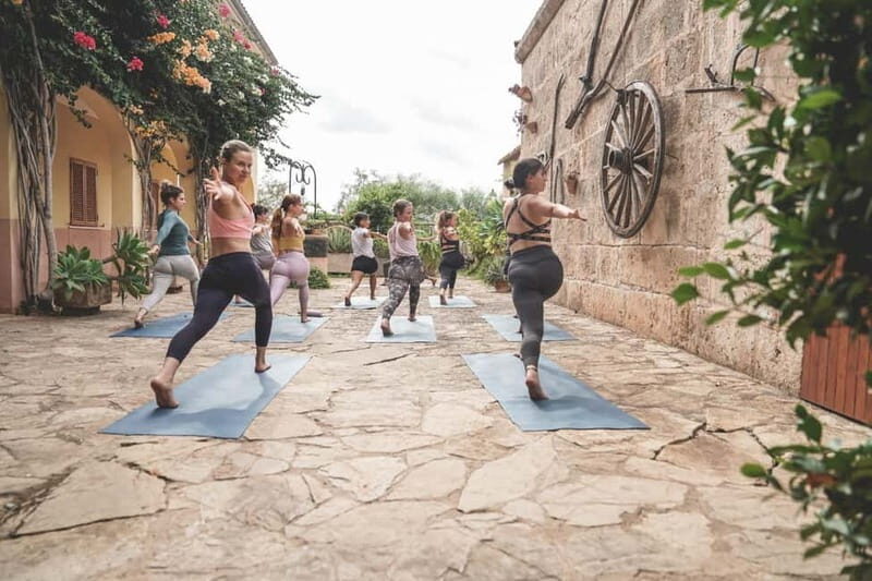 Mallorca: 4-Hour Retreat of Yoga, Meditation & Magic Vibes - A Deep Dive into the Experience