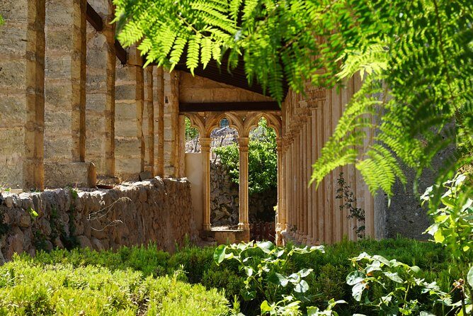 Mallorca: 5-hours Hidden Marvels Tour - A Closer Look at the Mallorca: 5-Hours Hidden Marvels Tour