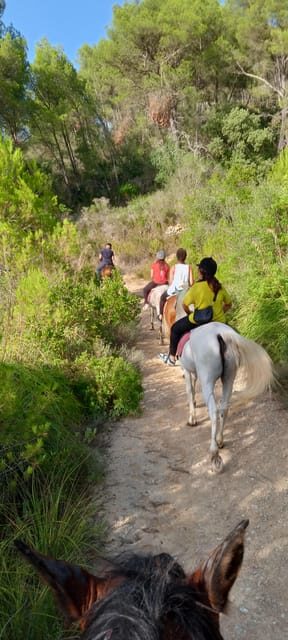 Mallorca: Activity, Antique Mallorca with Picnic - A Thorough Look at the Experience