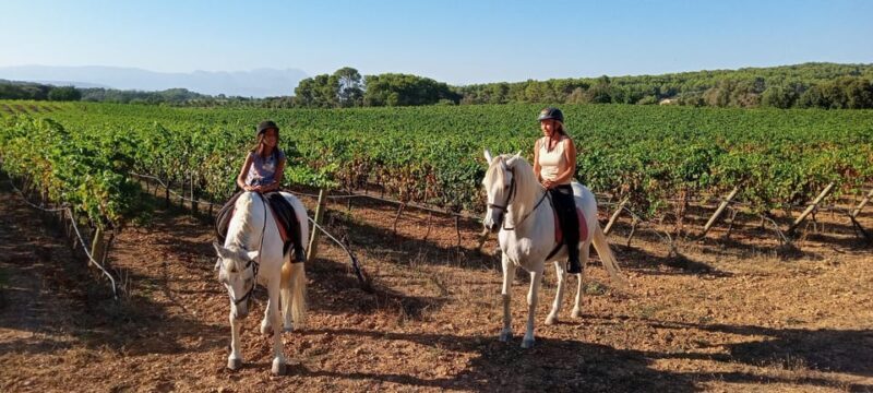 Mallorca: Activity, Antique Mallorca with Picnic - FAQ