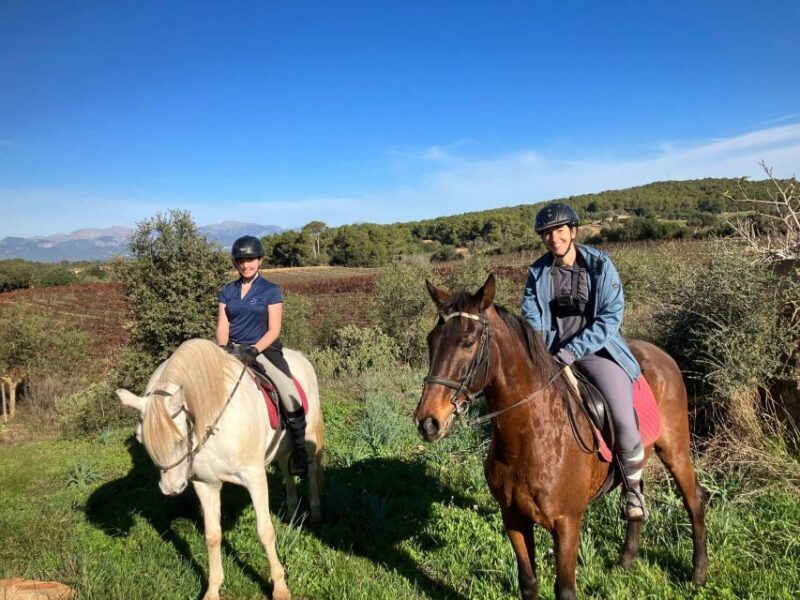 Mallorca: Activity with Horses, Antique Mallorca - An Authentic Mallorca Horseback Experience