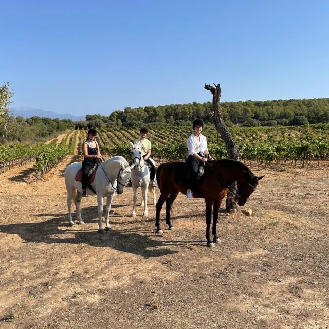 Mallorca: Activity with Horses, Antique Mallorca - Practical Details and Value