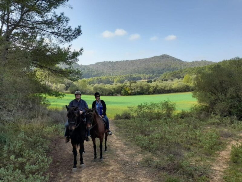 Mallorca: Activity with Horses, Antique Mallorca - Authenticity and What Sets It Apart