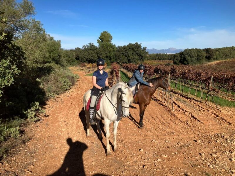 Mallorca: Activity with Horses, Antique Mallorca - Who Will Love This Tour?