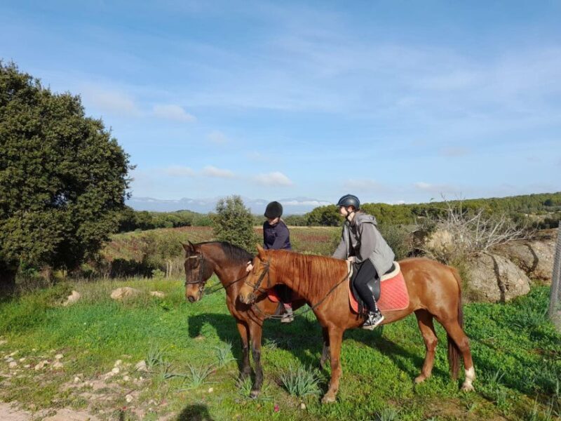 Mallorca: Activity with Horses, Antique Mallorca - Final Thoughts: Is It Worth It?