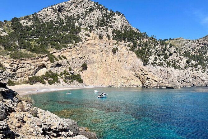 Mallorca Alcanada Island 3hr Cruise inc Drinks, Snorkelling & SUP - A Detailed Look at the Mallorca Alcanada Island Cruise