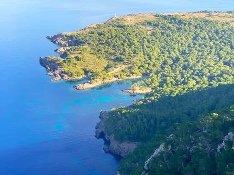 Mallorca: Alcudia: Private Boat Tour with Snorkel - Who Would Love This Tour?