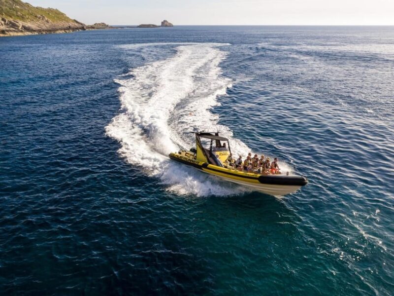 Mallorca: Bladerunner Jet Boat Excursion - Key Points