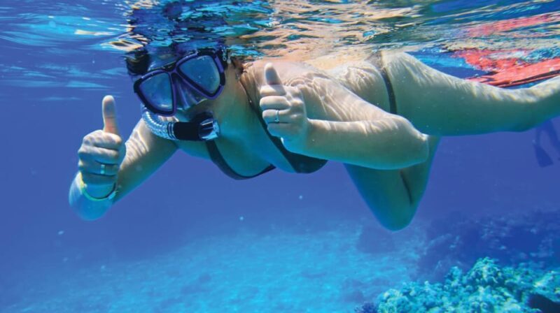 Mallorca: Bladerunner Jet Boat Excursion - FAQ