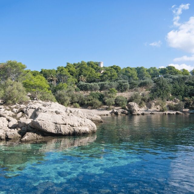 Mallorca: Boat Transfer between Port Andratx and Sant Elm - Who Should Consider This Transfer?