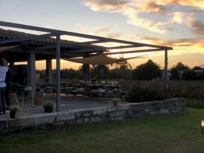 Mallorca: Bodega Butxet Vineyards & Winery Tour with Tasting - FAQs